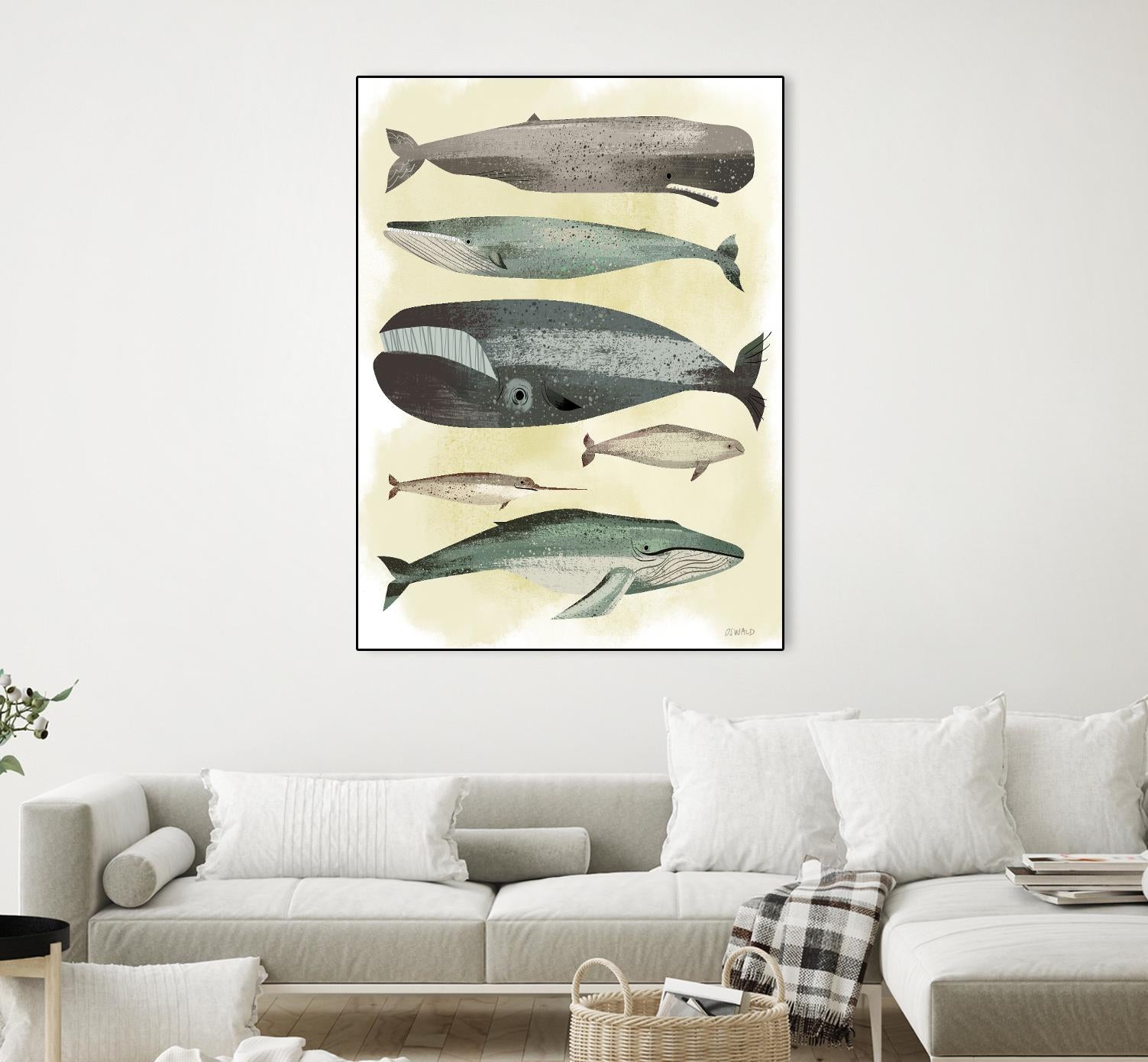 Whales by Pete Oswald on GIANT ART - multicolor animals