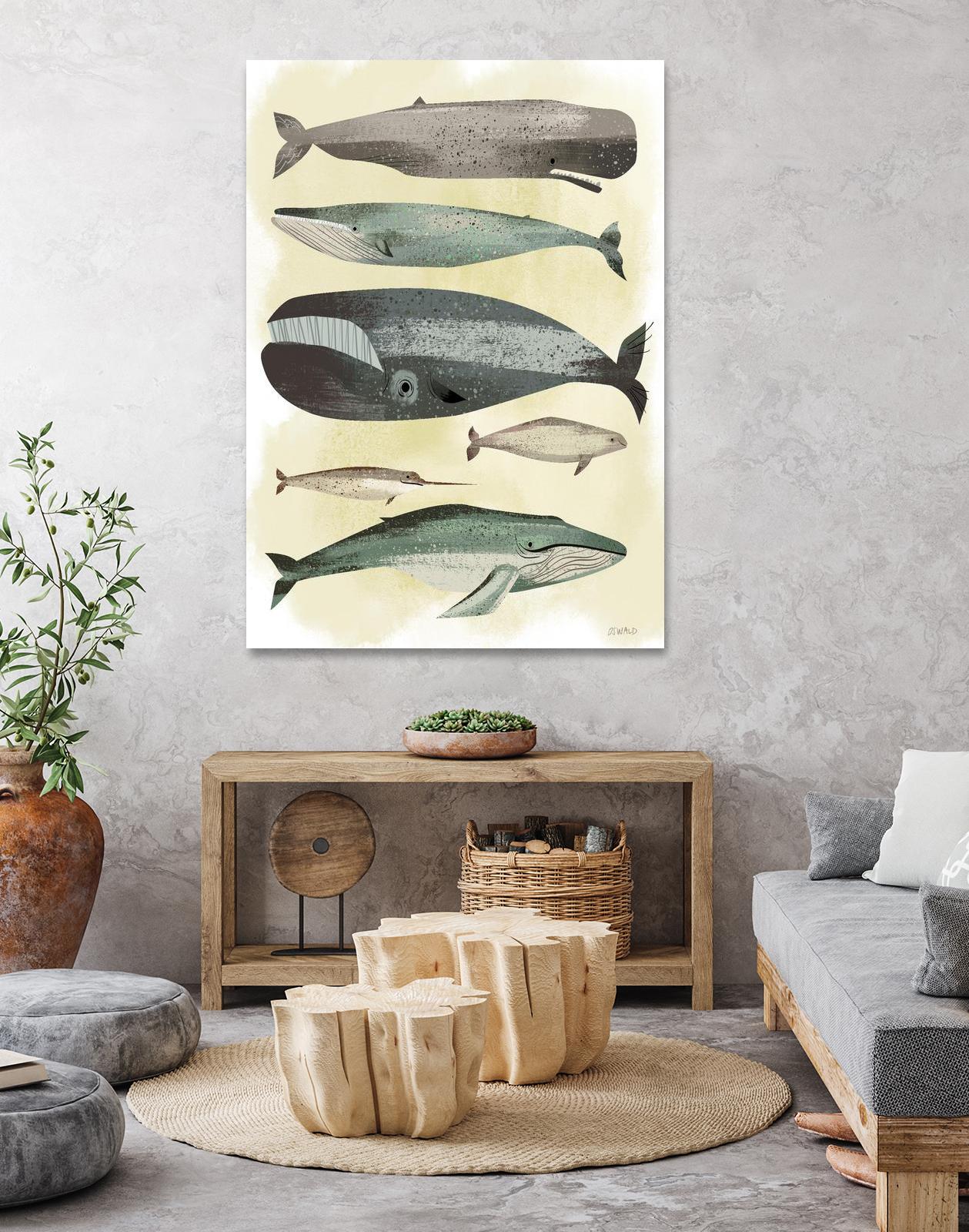 Whales by Pete Oswald on GIANT ART - multicolor animals