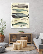 Whales by Pete Oswald on GIANT ART - multicolor animals