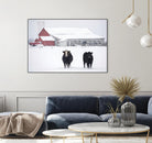 Cookies and Cream by Matthew Platz on GIANT ART - multicolor photography; animals