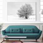 Depth of Field by Matthew Platz on GIANT ART - multicolor photography; landscapes