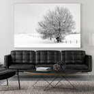 Depth of Field by Matthew Platz on GIANT ART - multicolor photography; landscapes