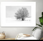 Depth of Field by Matthew Platz on GIANT ART - multicolor photography; landscapes