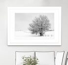 Depth of Field by Matthew Platz on GIANT ART - multicolor photography; landscapes