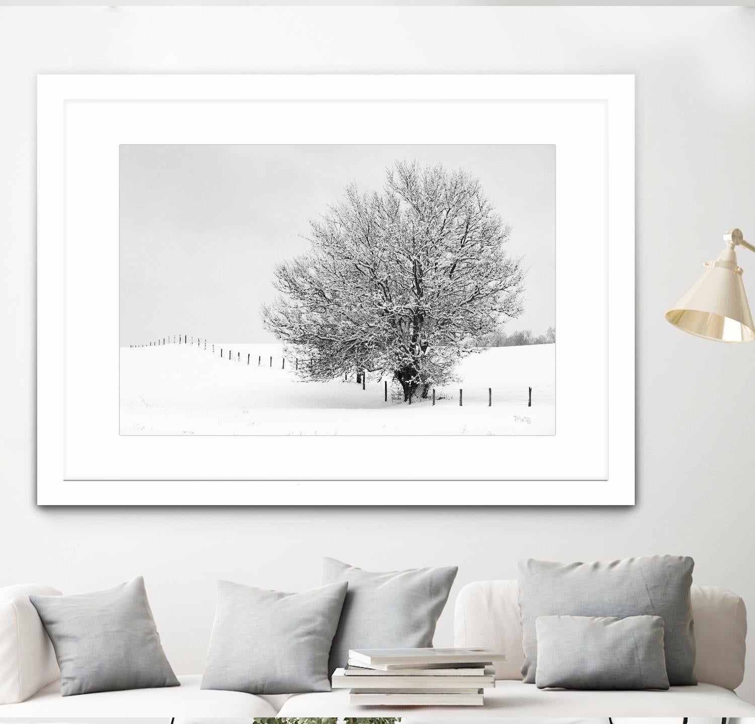 Depth of Field by Matthew Platz on GIANT ART - multicolor photography; landscapes