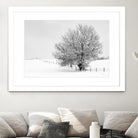 Depth of Field by Matthew Platz on GIANT ART - multicolor photography; landscapes