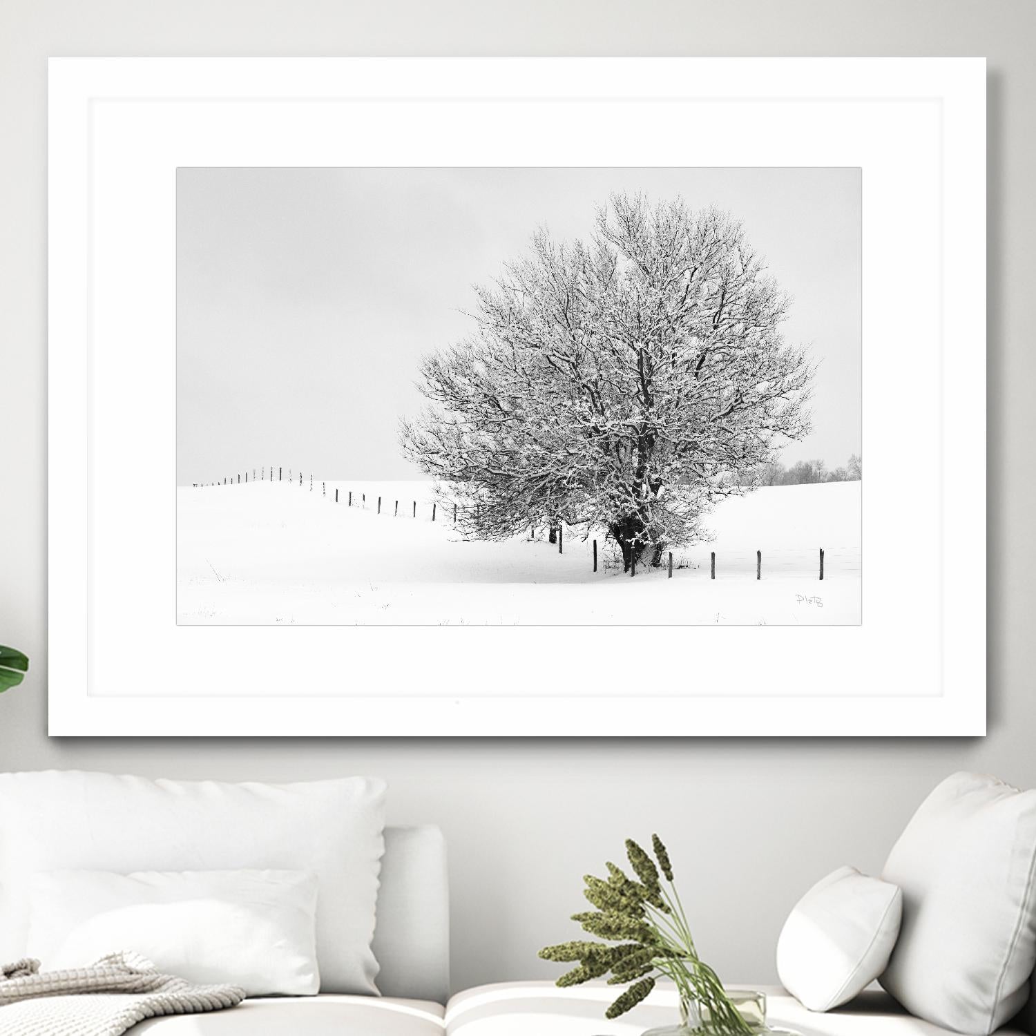 Depth of Field by Matthew Platz on GIANT ART - multicolor photography; landscapes