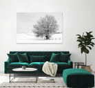 Depth of Field by Matthew Platz on GIANT ART - multicolor photography; landscapes