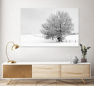 Depth of Field by Matthew Platz on GIANT ART - multicolor photography; landscapes