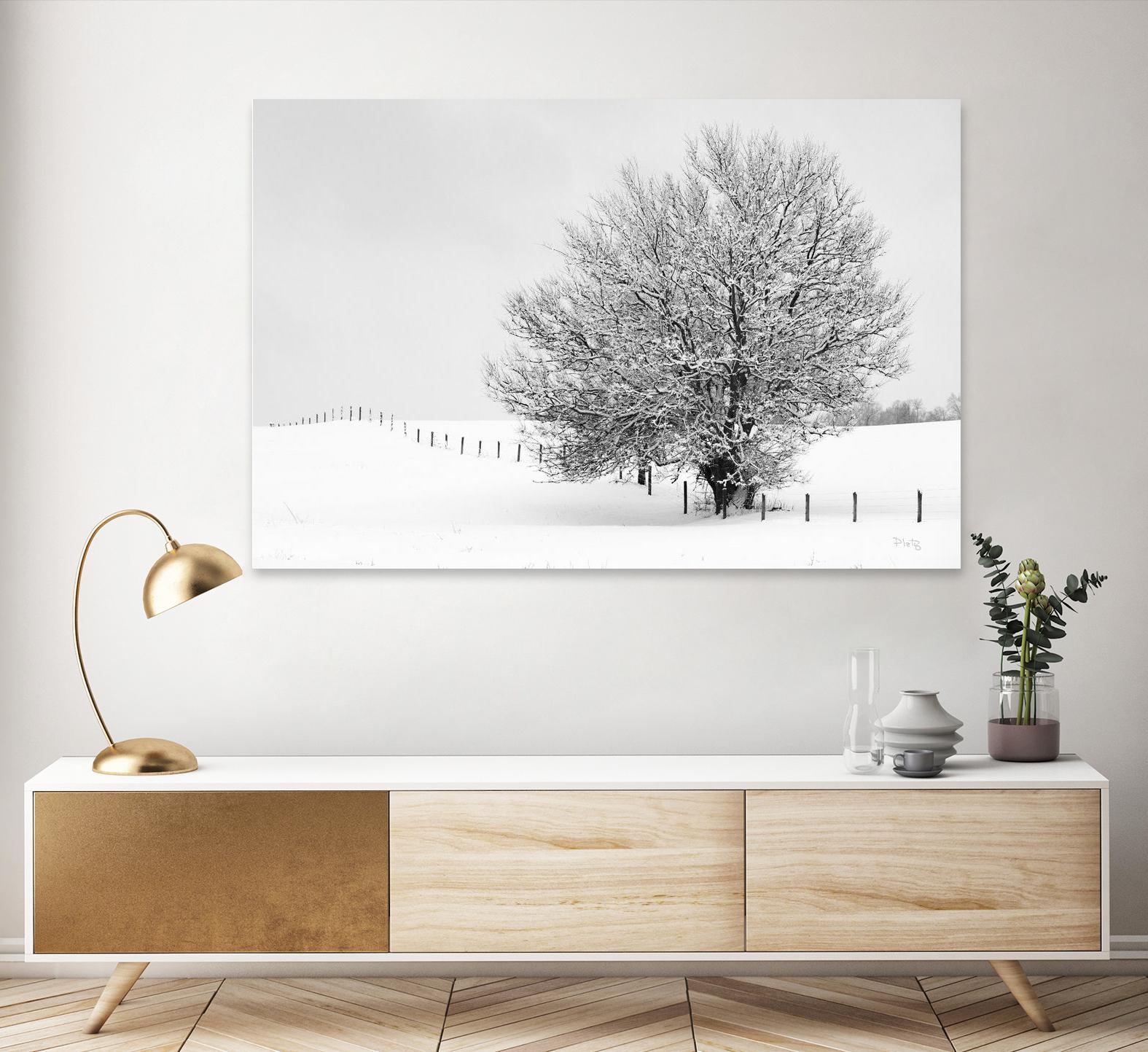 Depth of Field by Matthew Platz on GIANT ART - multicolor photography; landscapes