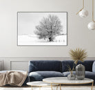 Depth of Field by Matthew Platz on GIANT ART - multicolor photography; landscapes