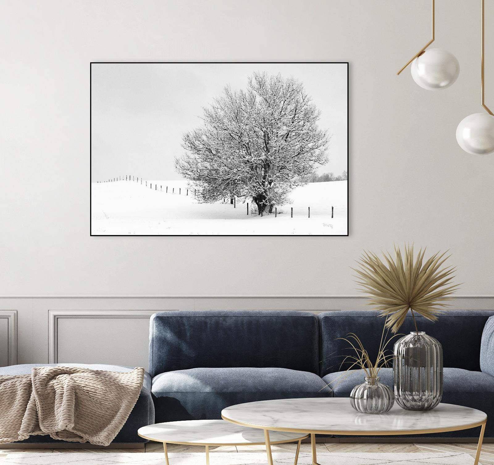 Depth of Field by Matthew Platz on GIANT ART - multicolor photography; landscapes