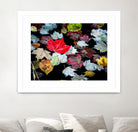 Autumn Leaves by David W. Pollard on GIANT ART - multicolor photography; contemporary