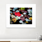 Autumn Leaves by David W. Pollard on GIANT ART - multicolor photography; contemporary