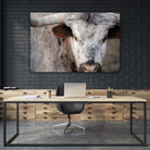 Showdown by Matthew Platz on GIANT ART - multicolor animals; photography