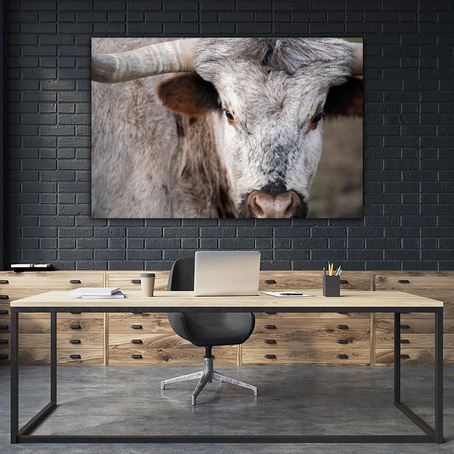 Showdown by Matthew Platz on GIANT ART - multicolor animals; photography