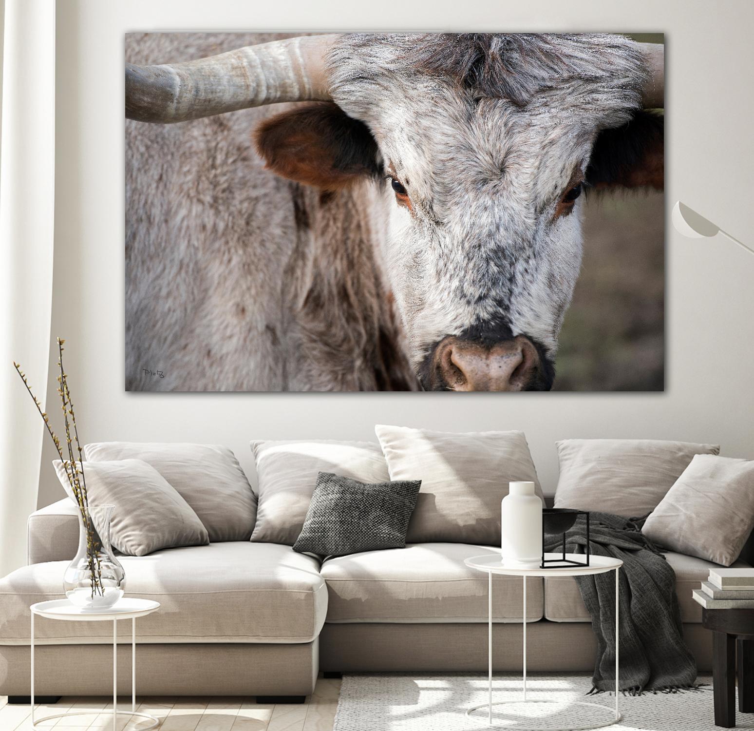 Showdown by Matthew Platz on GIANT ART - multicolor animals; photography