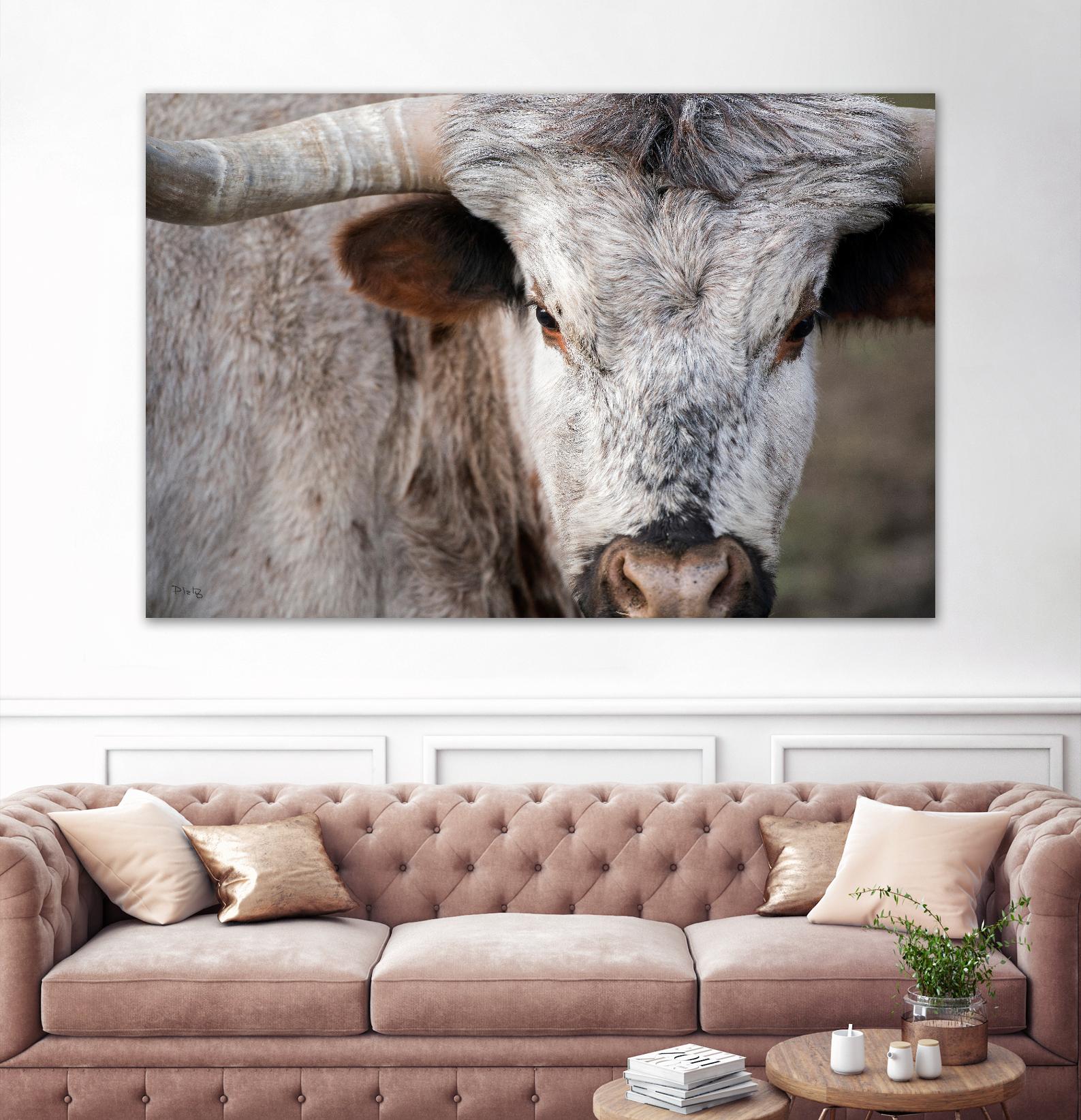 Showdown by Matthew Platz on GIANT ART - multicolor animals; photography