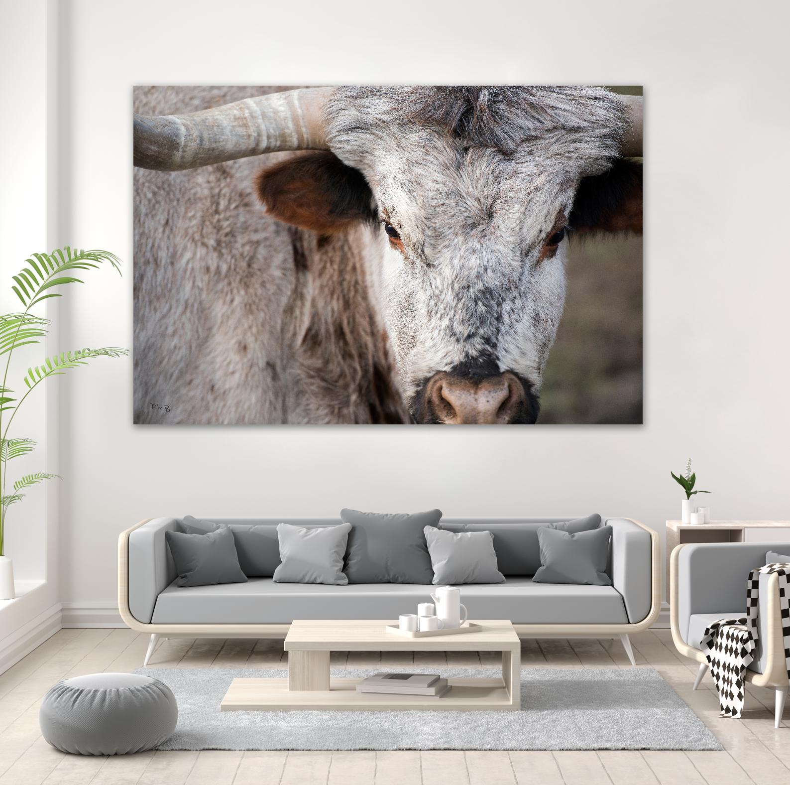 Showdown by Matthew Platz on GIANT ART - multicolor animals; photography