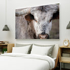 Showdown by Matthew Platz on GIANT ART - multicolor animals; photography