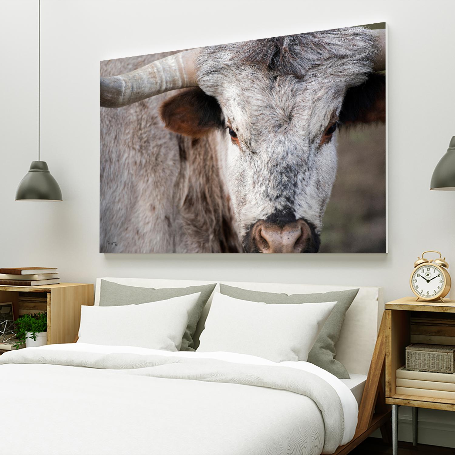 Showdown by Matthew Platz on GIANT ART - multicolor animals; photography