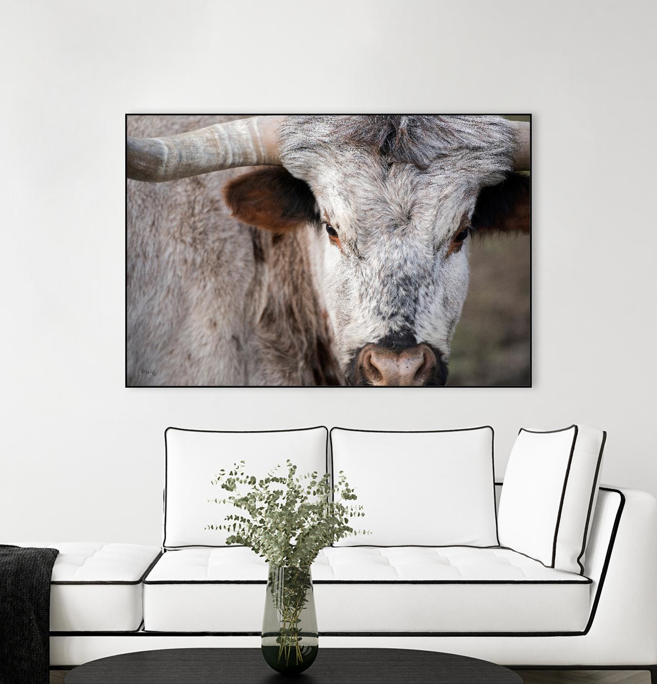 Showdown by Matthew Platz on GIANT ART - multicolor animals; photography