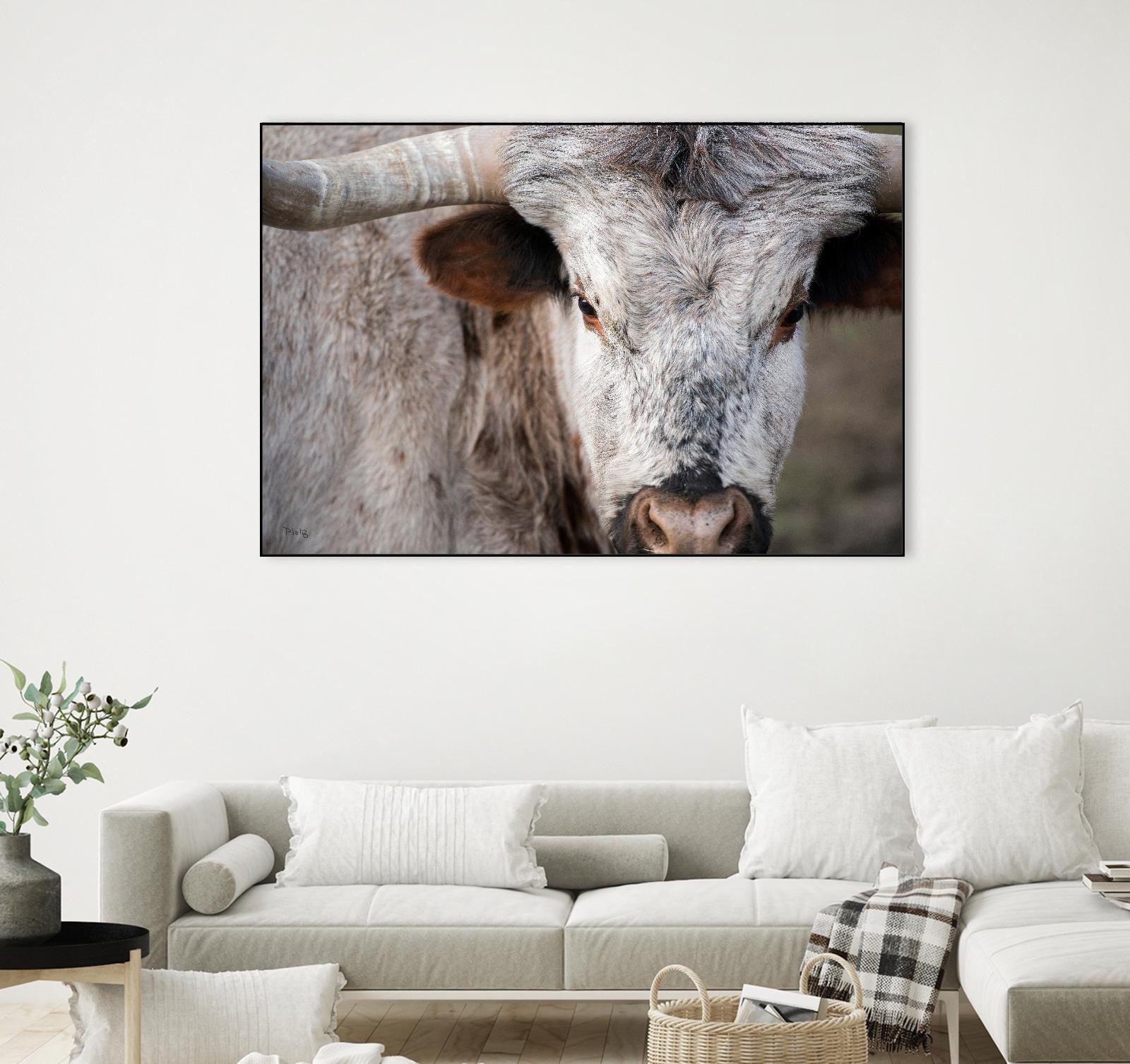 Showdown by Matthew Platz on GIANT ART - multicolor animals; photography