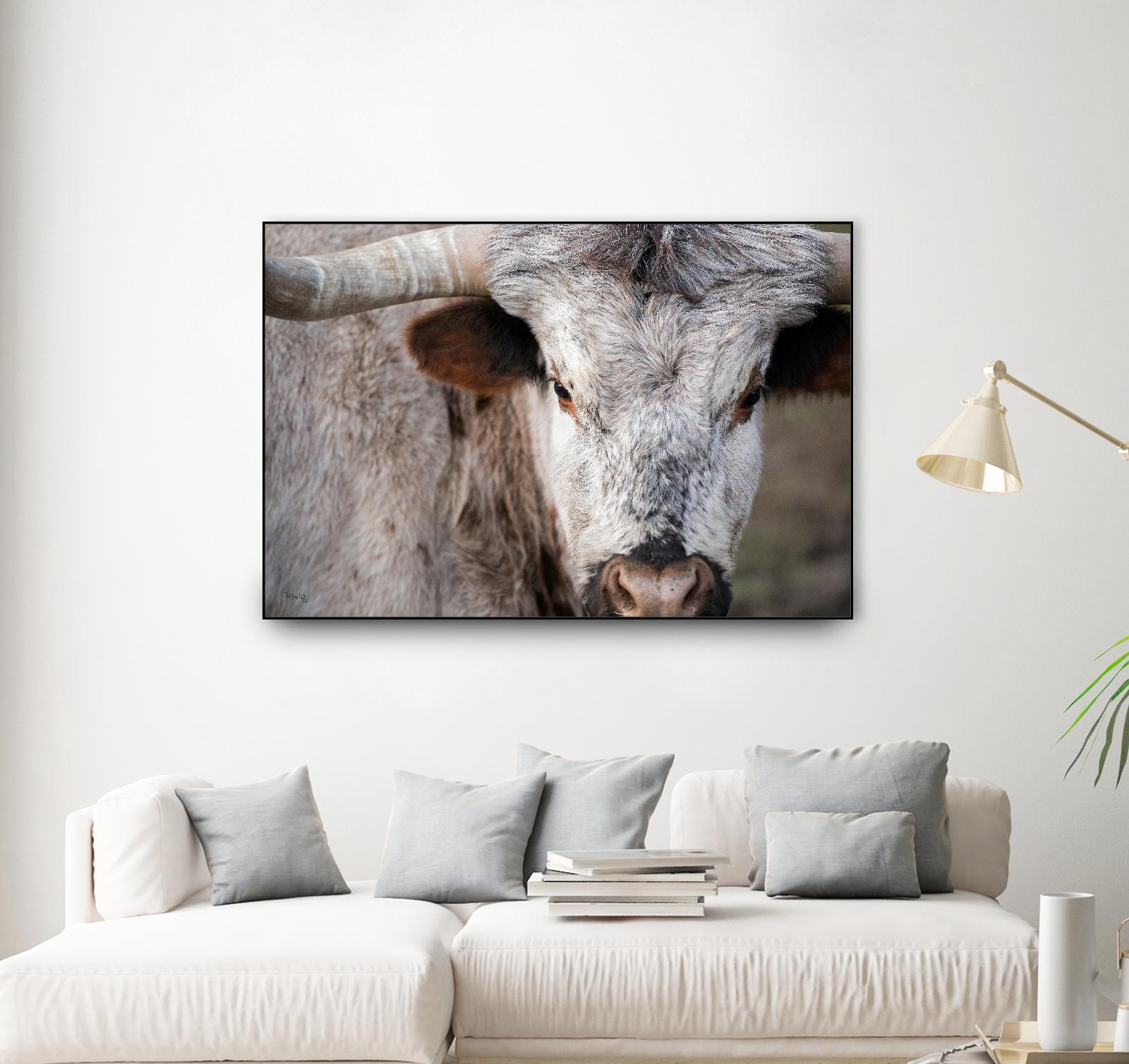 Showdown by Matthew Platz on GIANT ART - multicolor animals; photography
