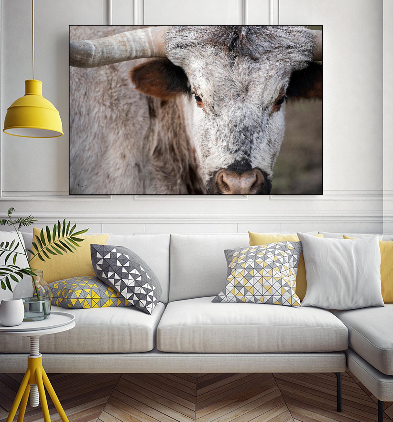 Showdown by Matthew Platz on GIANT ART - multicolor animals; photography