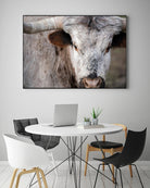 Showdown by Matthew Platz on GIANT ART - multicolor animals; photography