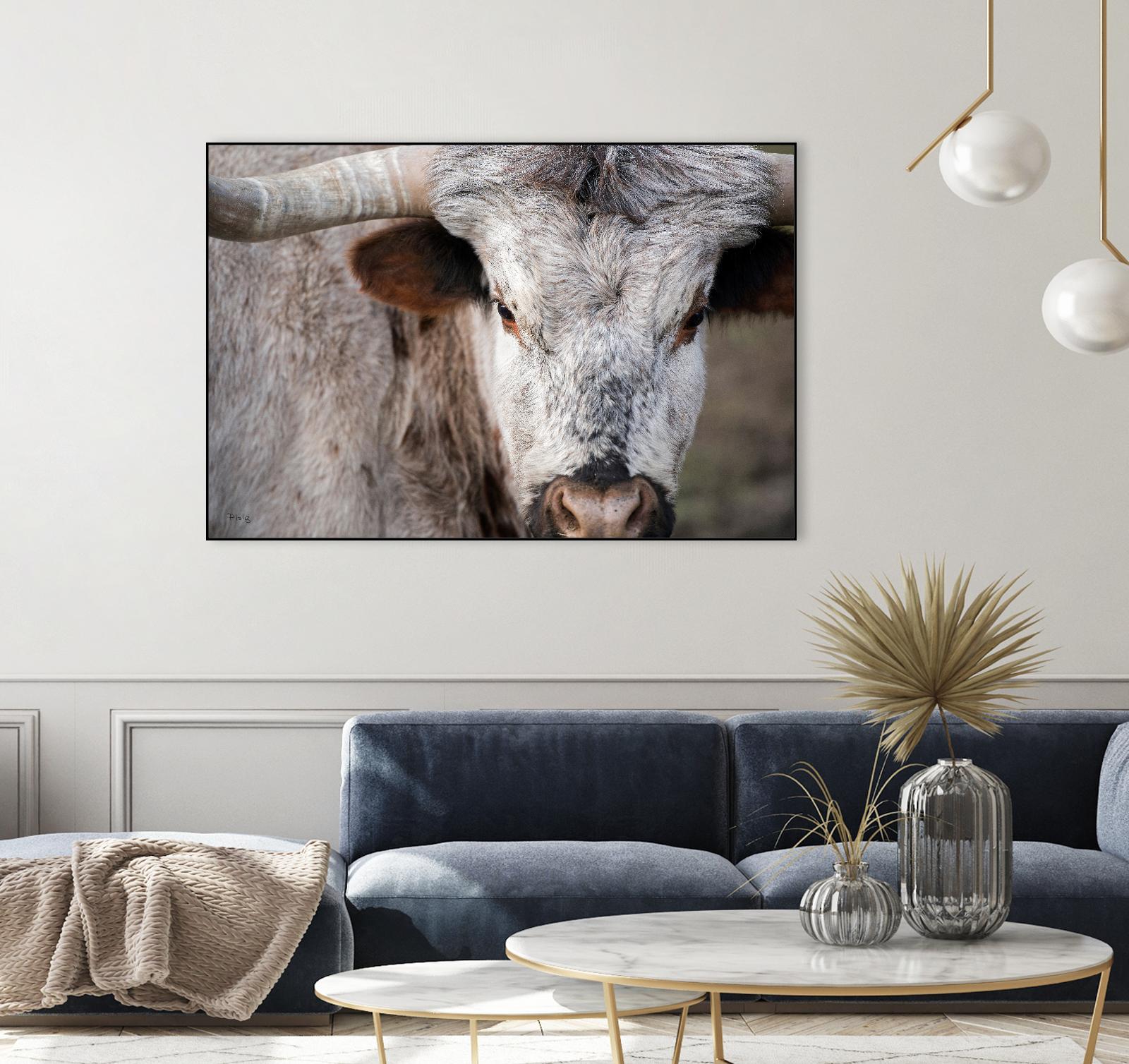 Showdown by Matthew Platz on GIANT ART - multicolor animals; photography