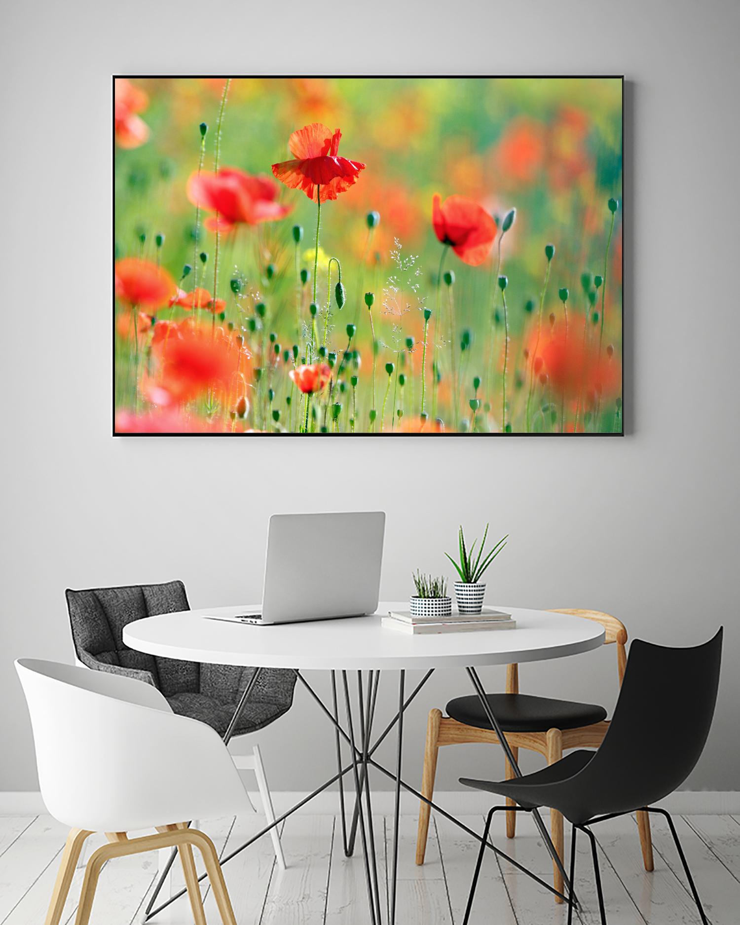 United Colors of Summer by Roeselien Raimond on GIANT ART - multicolor photography; floral/still life; landscapes