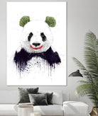 Joker Face by Balazs Solti on GIANT ART - white animals