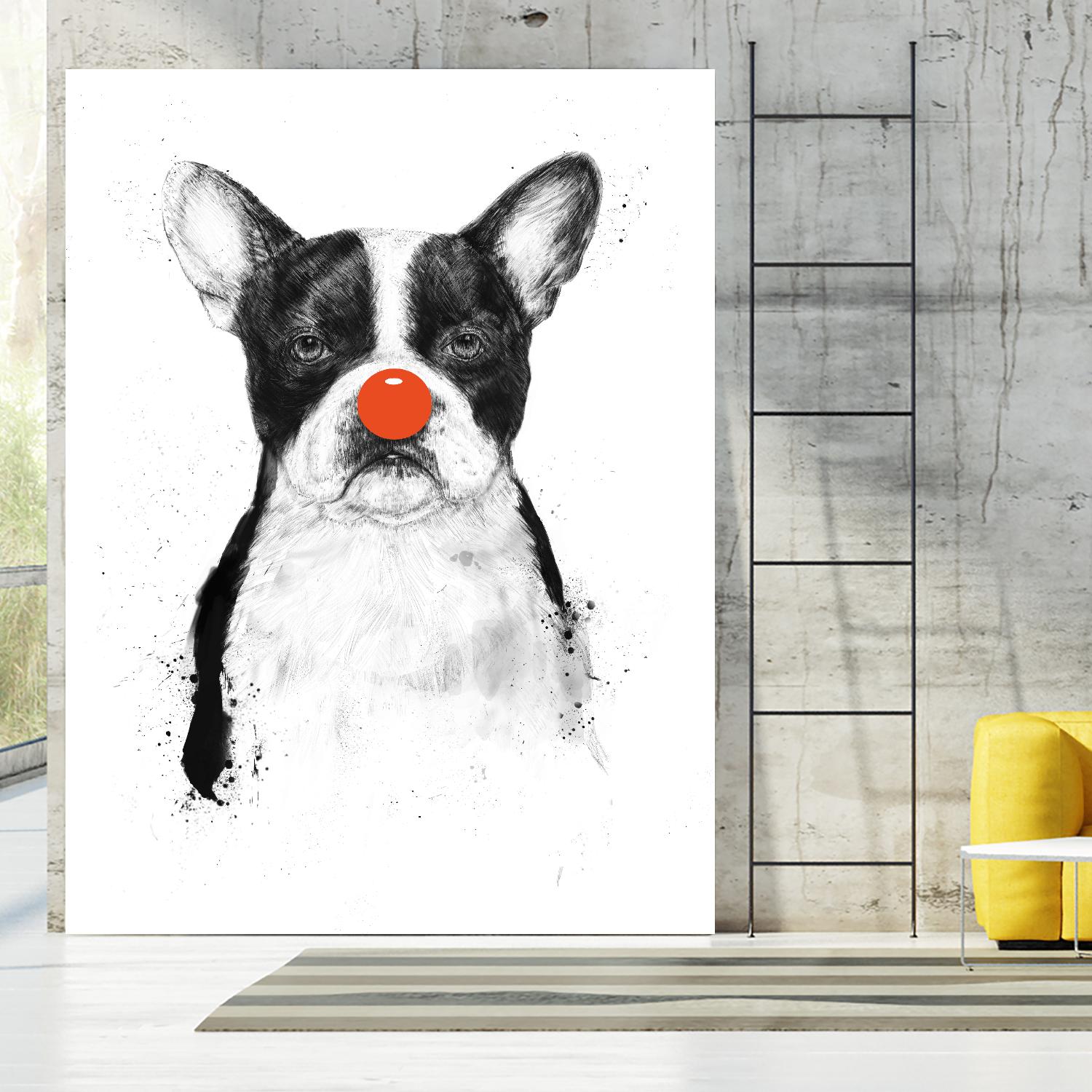 I'm Not Your Clown by Balazs Solti on GIANT ART - white animals