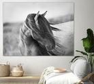 Fierce Grace by Tony Stromberg on GIANT ART - multicolor animals; photography