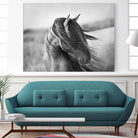 Fierce Grace by Tony Stromberg on GIANT ART - multicolor animals; photography