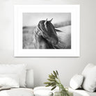 Fierce Grace by Tony Stromberg on GIANT ART - multicolor animals; photography