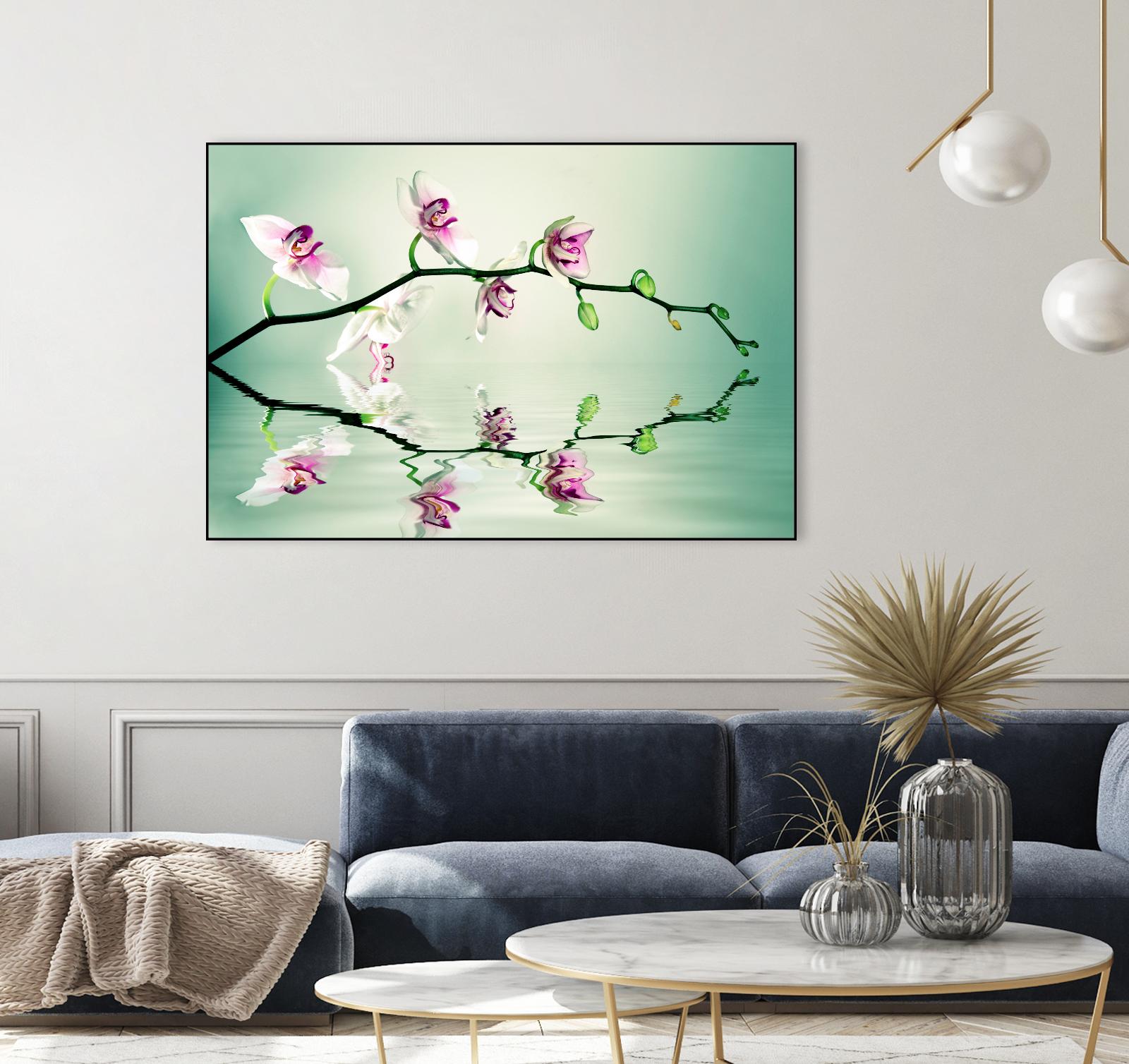 Zen by Lee Sie on GIANT ART - multicolor photography; floral/still life