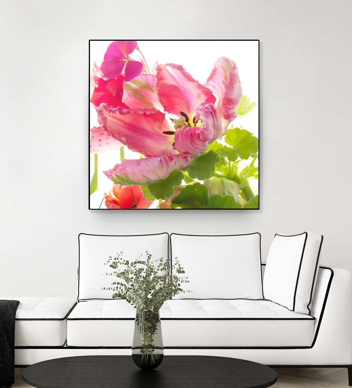 Parrot Tulip One by Judy Stalus on GIANT ART - multicolor photography; floral/still life