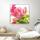 Parrot Tulip One by Judy Stalus on GIANT ART - multicolor photography; floral/still life