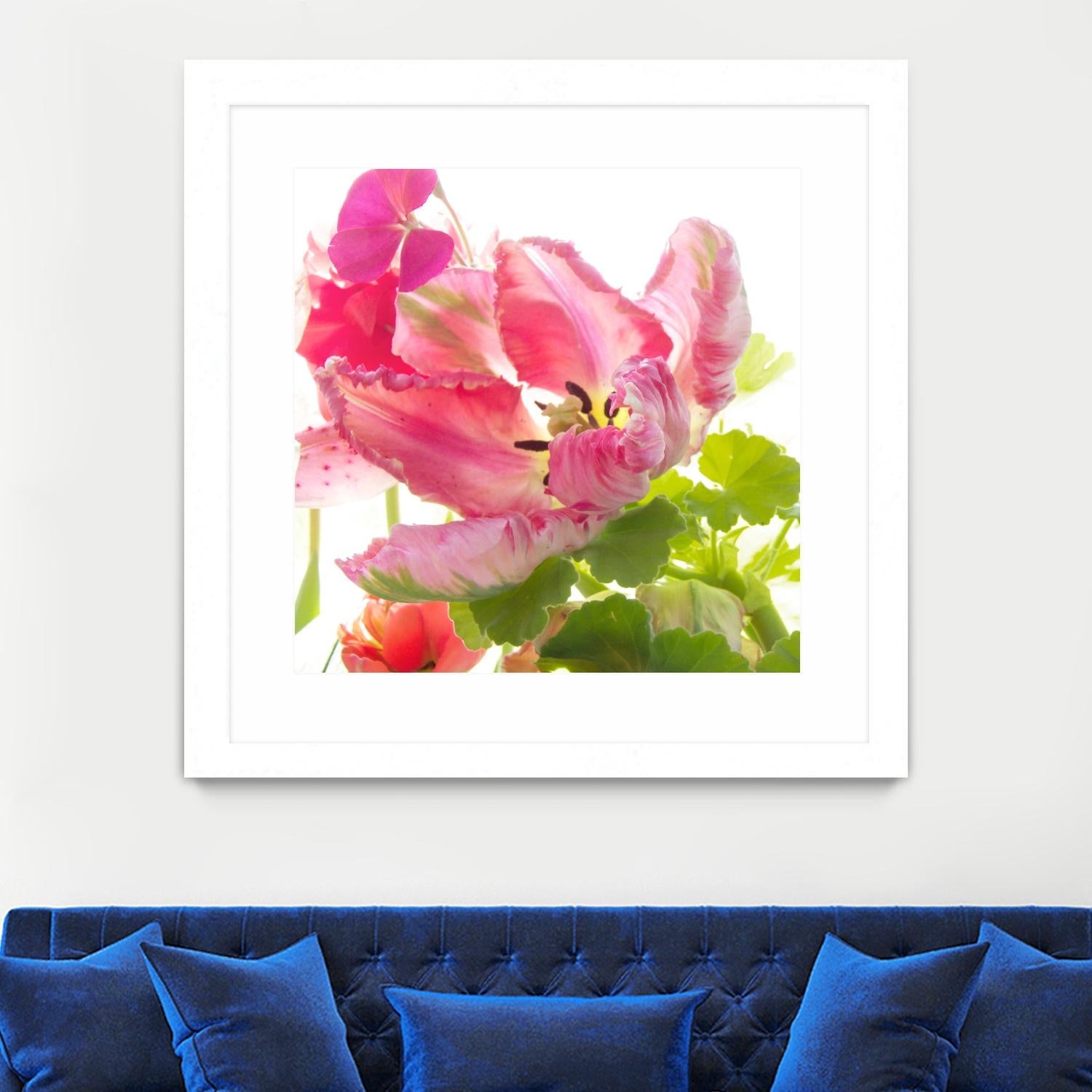 Parrot Tulip One by Judy Stalus on GIANT ART - multicolor photography; floral/still life