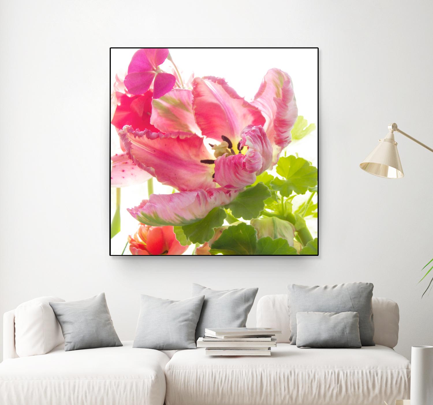 Parrot Tulip One by Judy Stalus on GIANT ART - multicolor photography; floral/still life