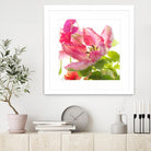 Parrot Tulip One by Judy Stalus on GIANT ART - multicolor photography; floral/still life