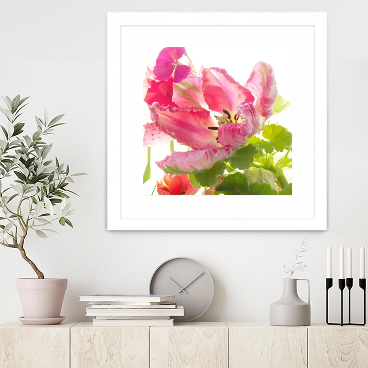 Parrot Tulip One by Judy Stalus on GIANT ART - multicolor photography; floral/still life