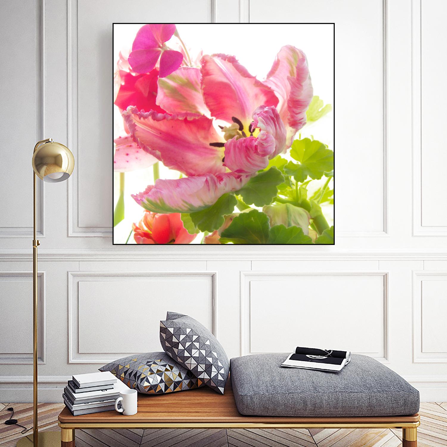 Parrot Tulip One by Judy Stalus on GIANT ART - multicolor photography; floral/still life