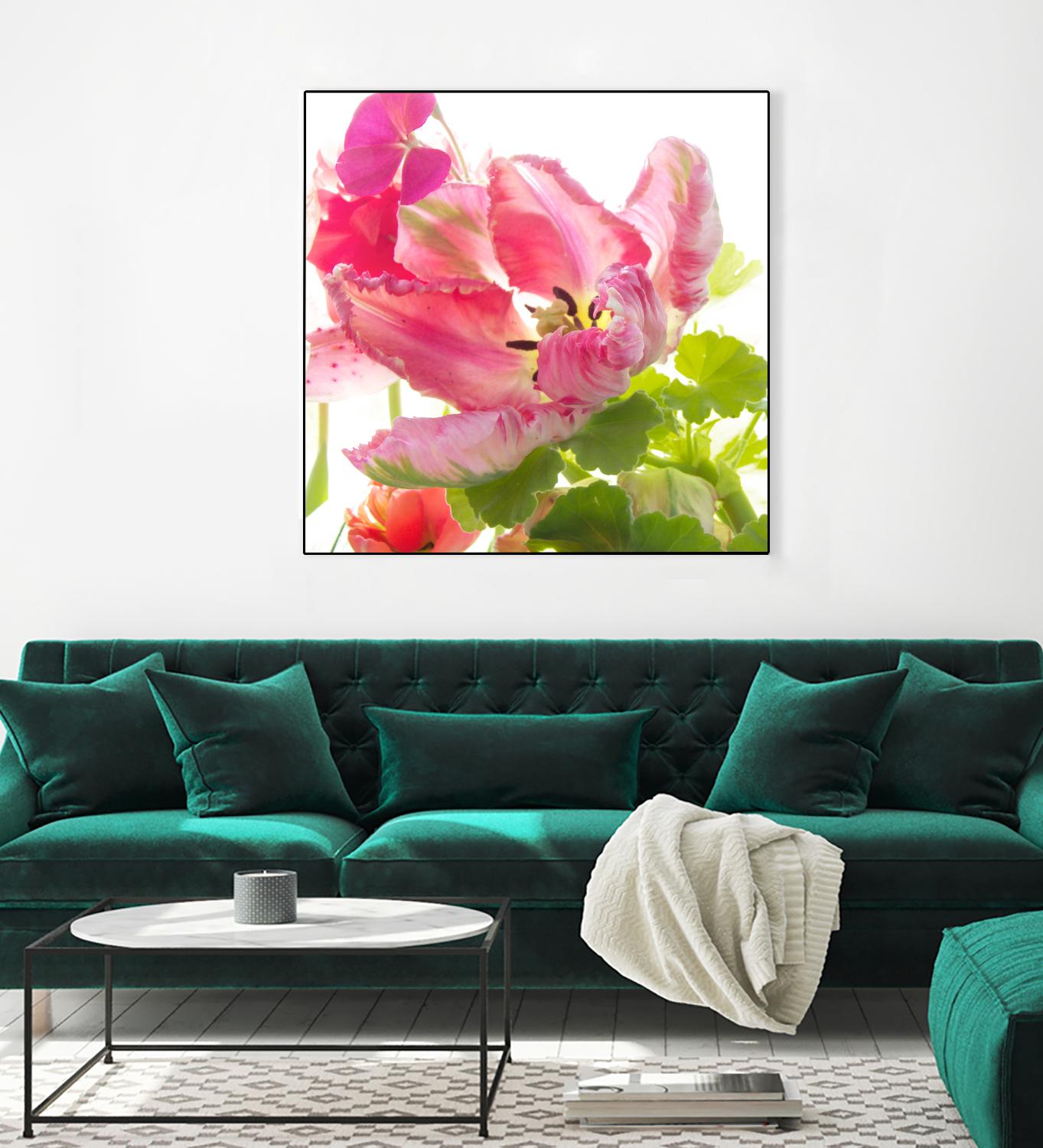 Parrot Tulip One by Judy Stalus on GIANT ART - multicolor photography; floral/still life