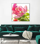 Parrot Tulip One by Judy Stalus on GIANT ART - multicolor photography; floral/still life