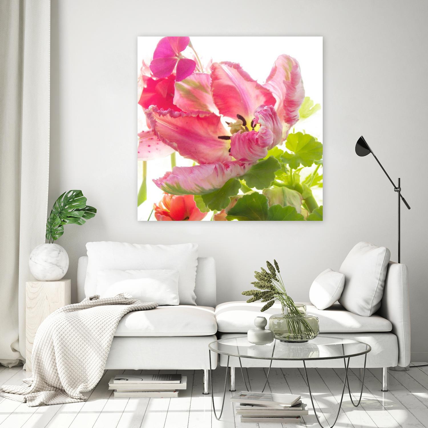 Parrot Tulip One by Judy Stalus on GIANT ART - multicolor photography; floral/still life