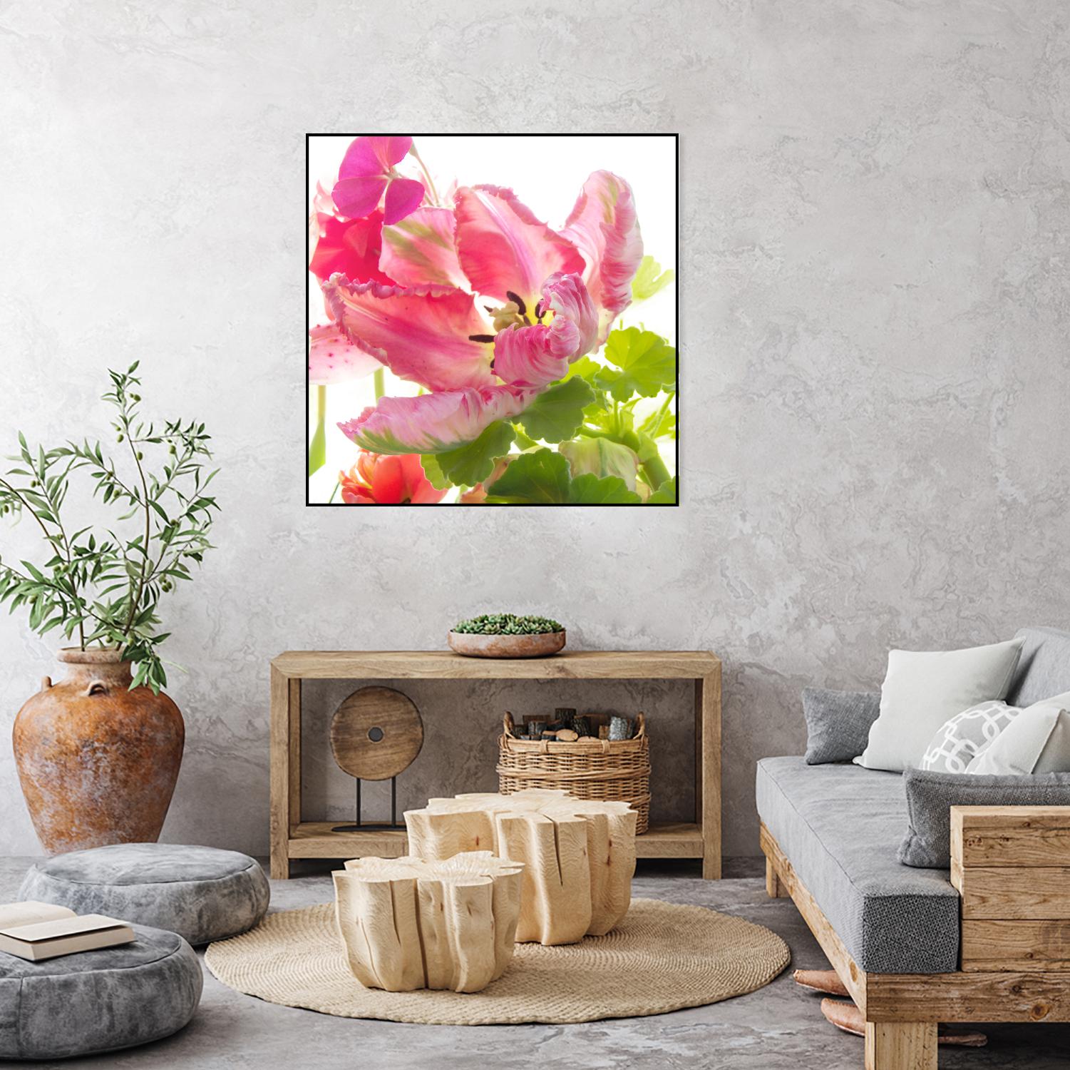 Parrot Tulip One by Judy Stalus on GIANT ART - multicolor photography; floral/still life