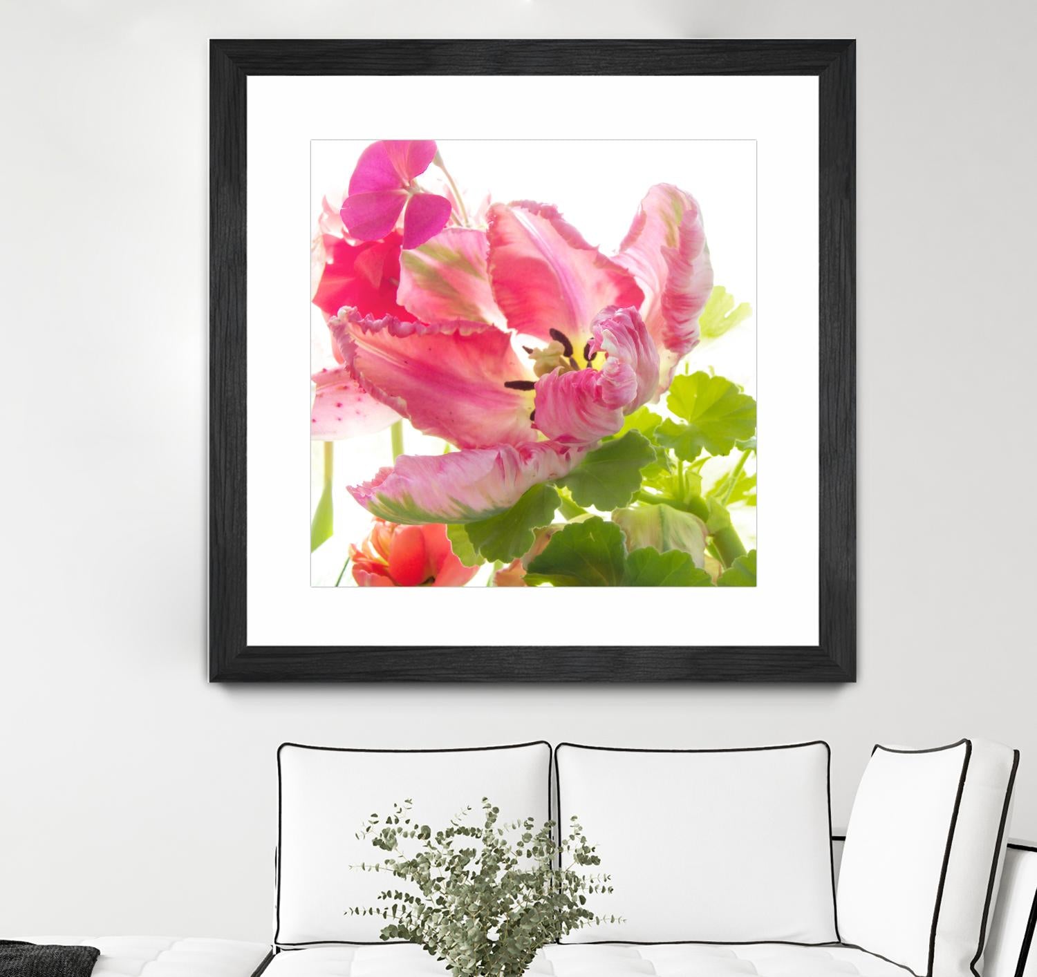 Parrot Tulip One by Judy Stalus on GIANT ART - multicolor photography; floral/still life